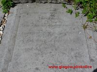 Widok fragmentu pyty